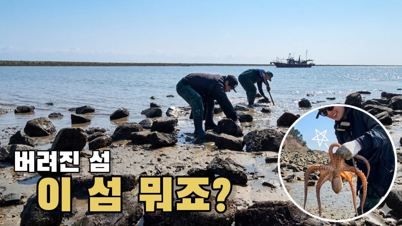 버려진 섬에서 생각지도 못한 것들이 쏟아져 나옵니다!