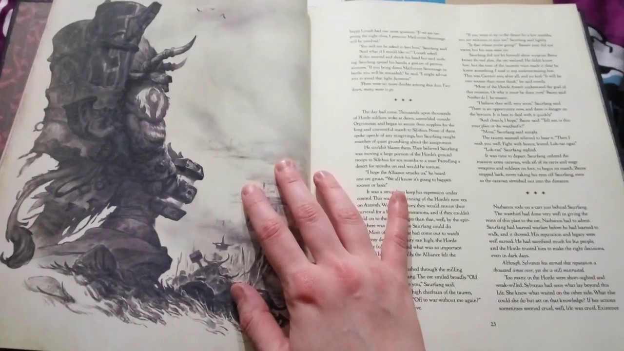 Распаковка BlizzCon Goody Bag 2018 и немного коллекционочки