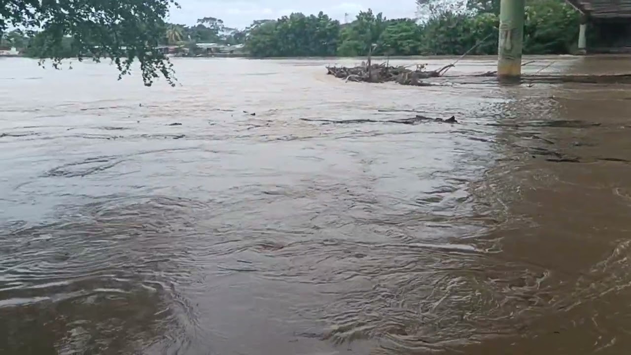Las aguas revueltas del rio Arauca, llevan consigo carameros de madera y la espuma viajera 