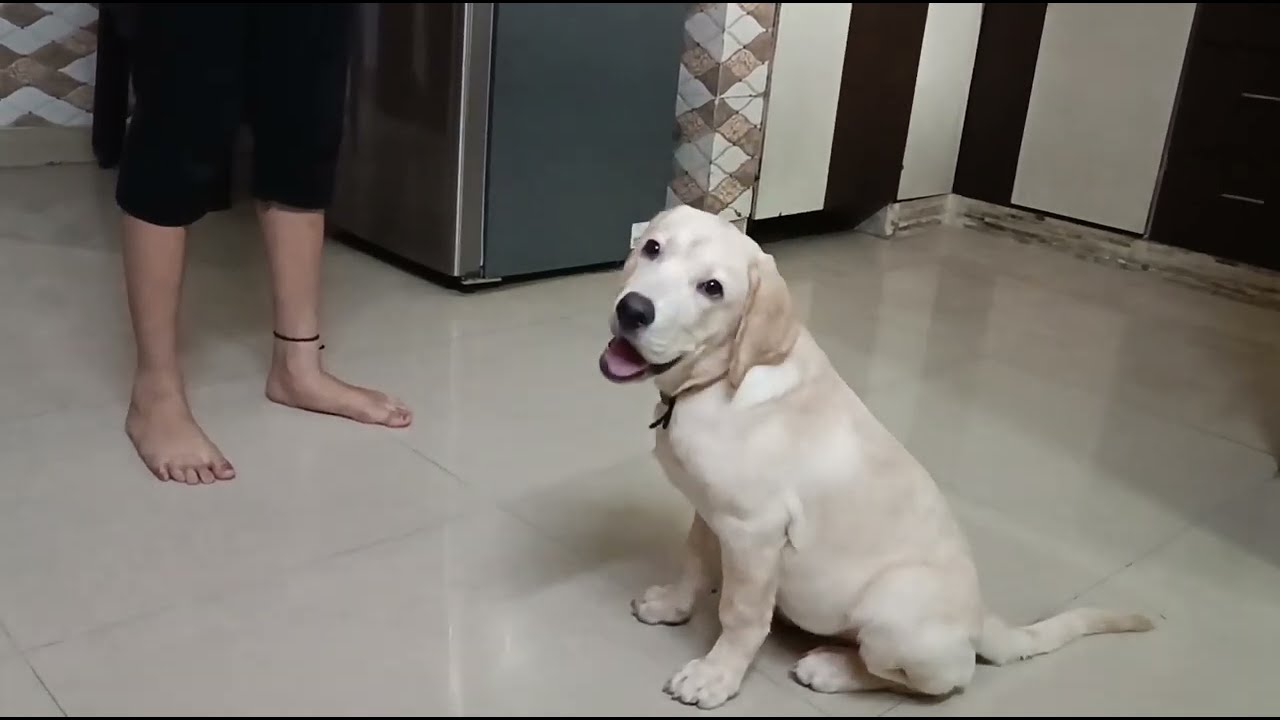 Angel Aaj apne sister se training le rhe hai 😂