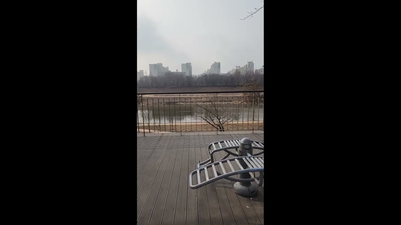 이 길로 갈 거야! 집에 안 가겠다는 달콤이 😅 | 2026.02.05
