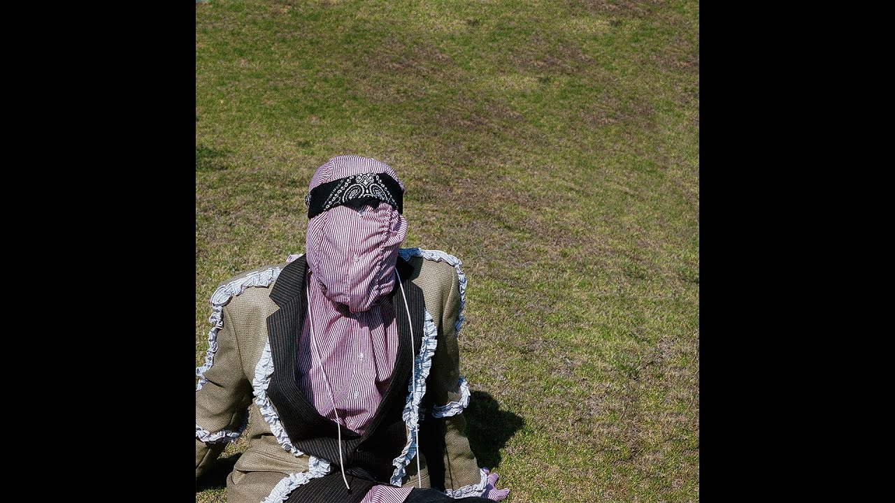 JPEGMAFIA - Pre Verified Lifestyle / Post Verified Lifestyle / **** in the Pit