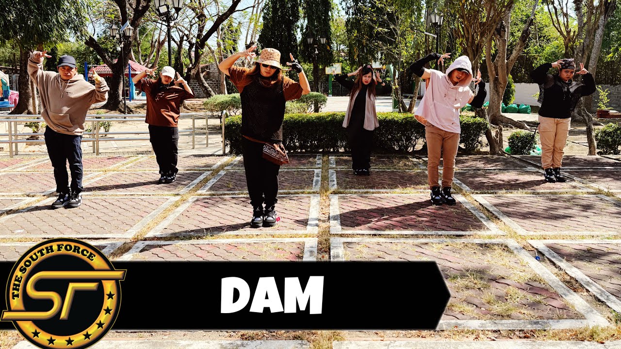 DAM ( Zin Micoro Remix ) - Tiktok Viral | Dance Trends | Dance Fitness | The South Force