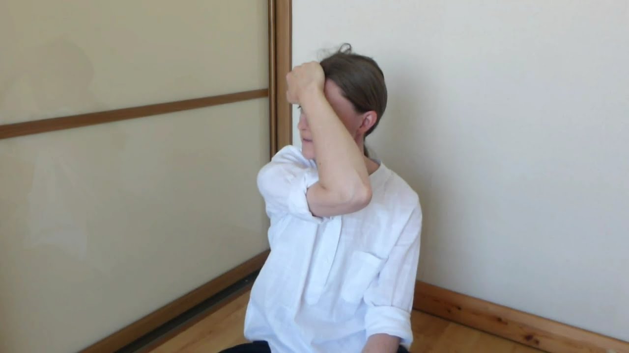 Lee Style Online Tai Chi Class 9