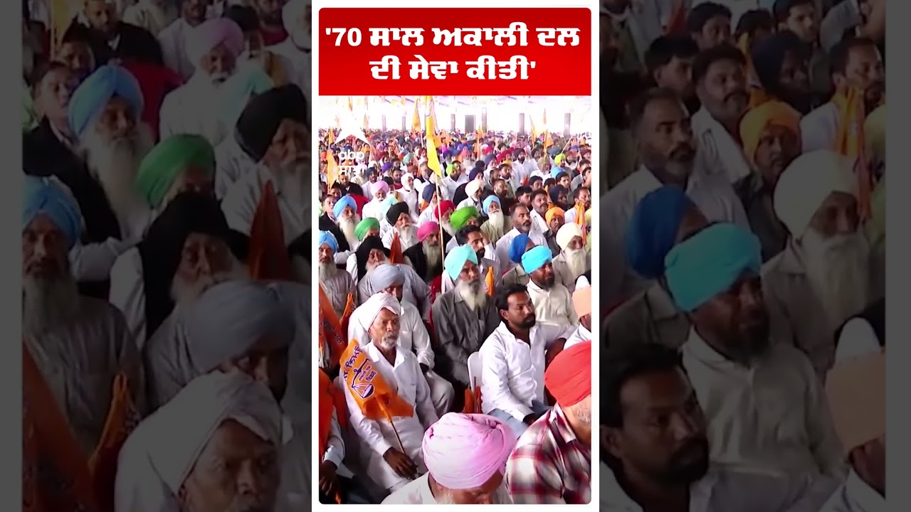 Sukhbir Badal on Bhagwant Mann |'70 ਸਾਲ ਅਕਾਲੀ ਦਲ ਦੀ ਸੇਵਾ ਕੀਤੀ' | Akali Dal | Abp Sanjha | Shorts