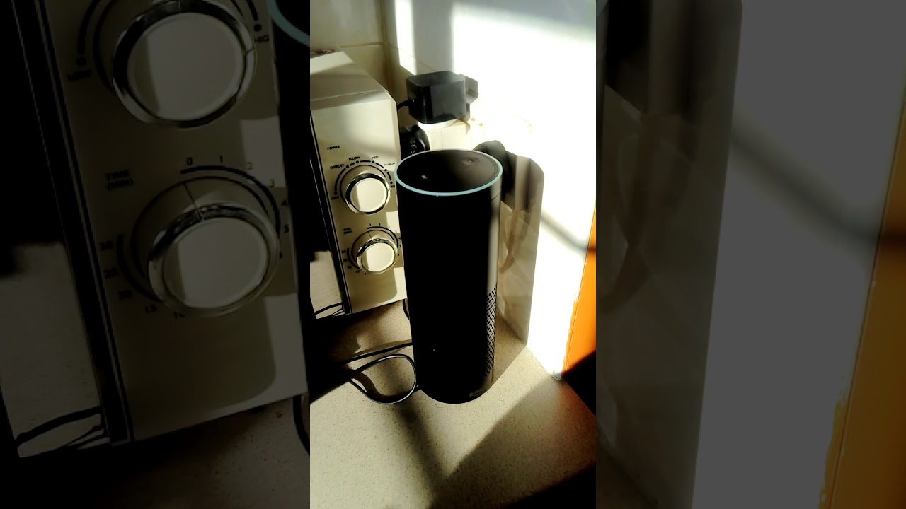 Swearing Alexa