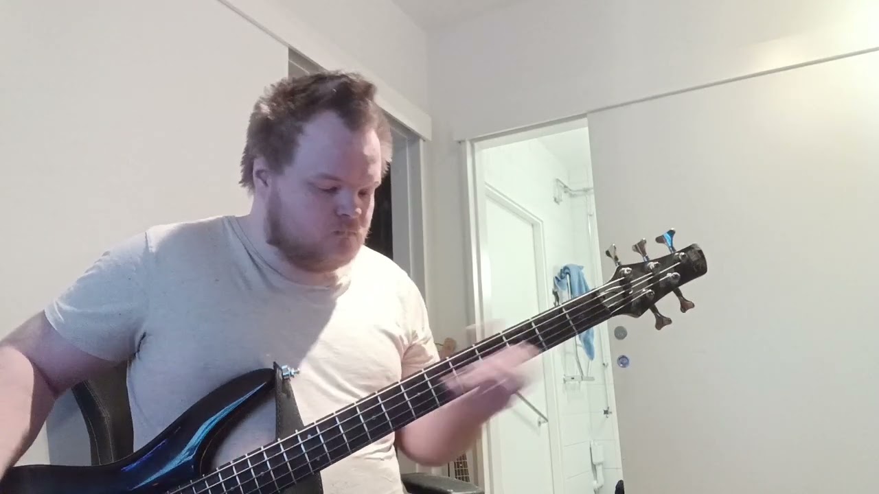 Metallica Bass cover song Sad but true 