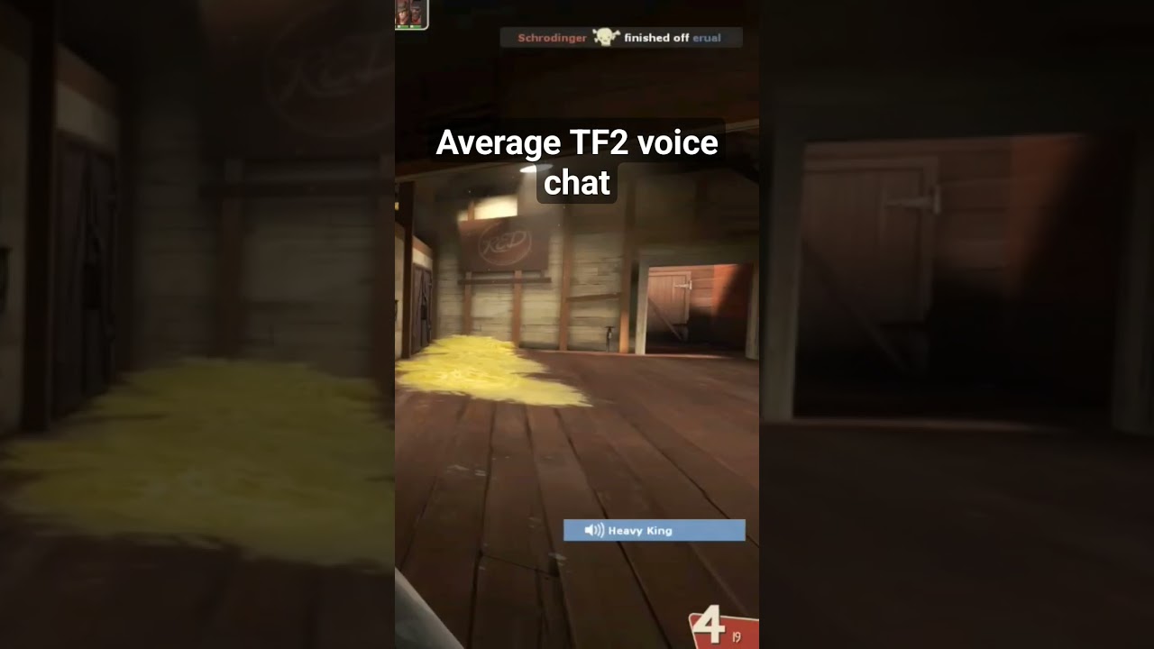 Average TF2 voice chat