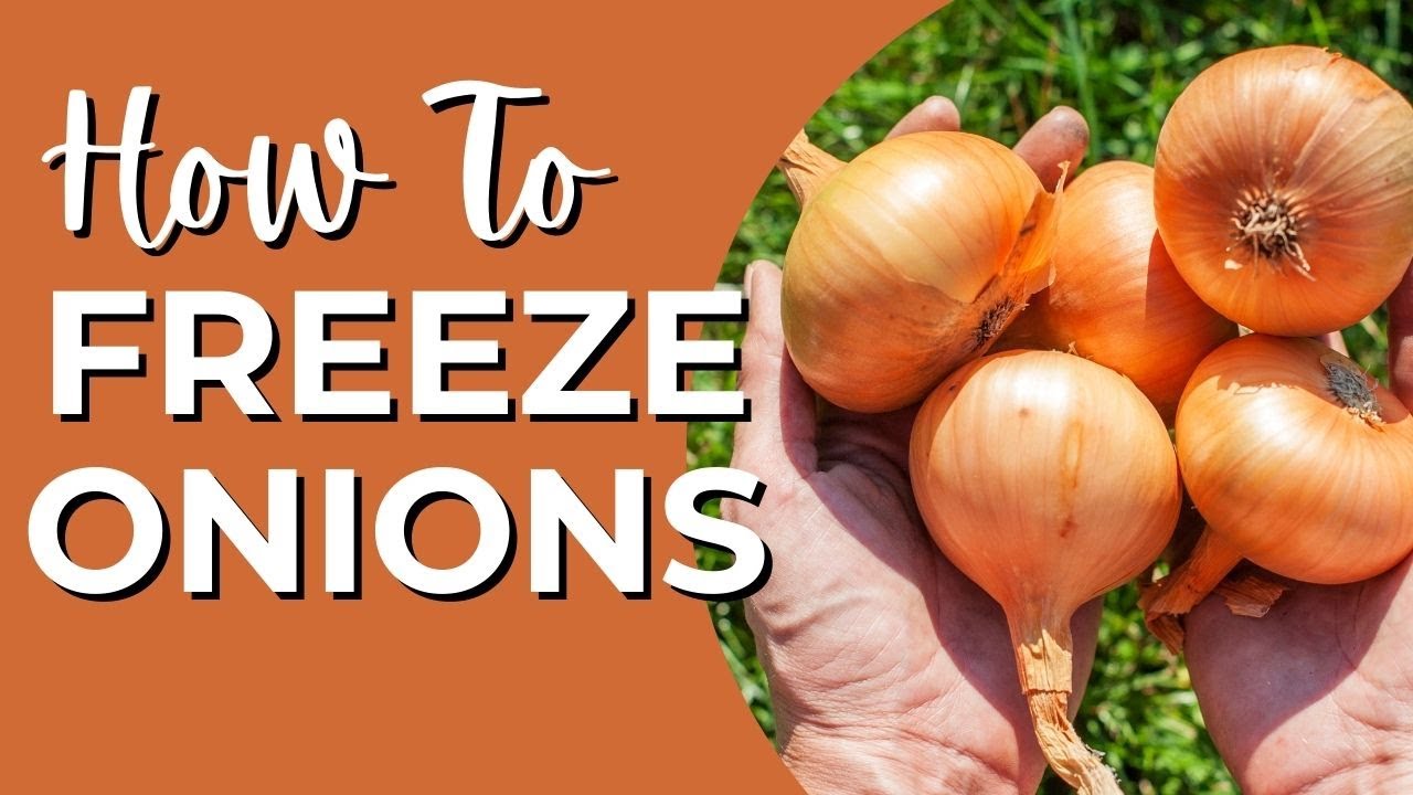 How To Freeze Garden Onions