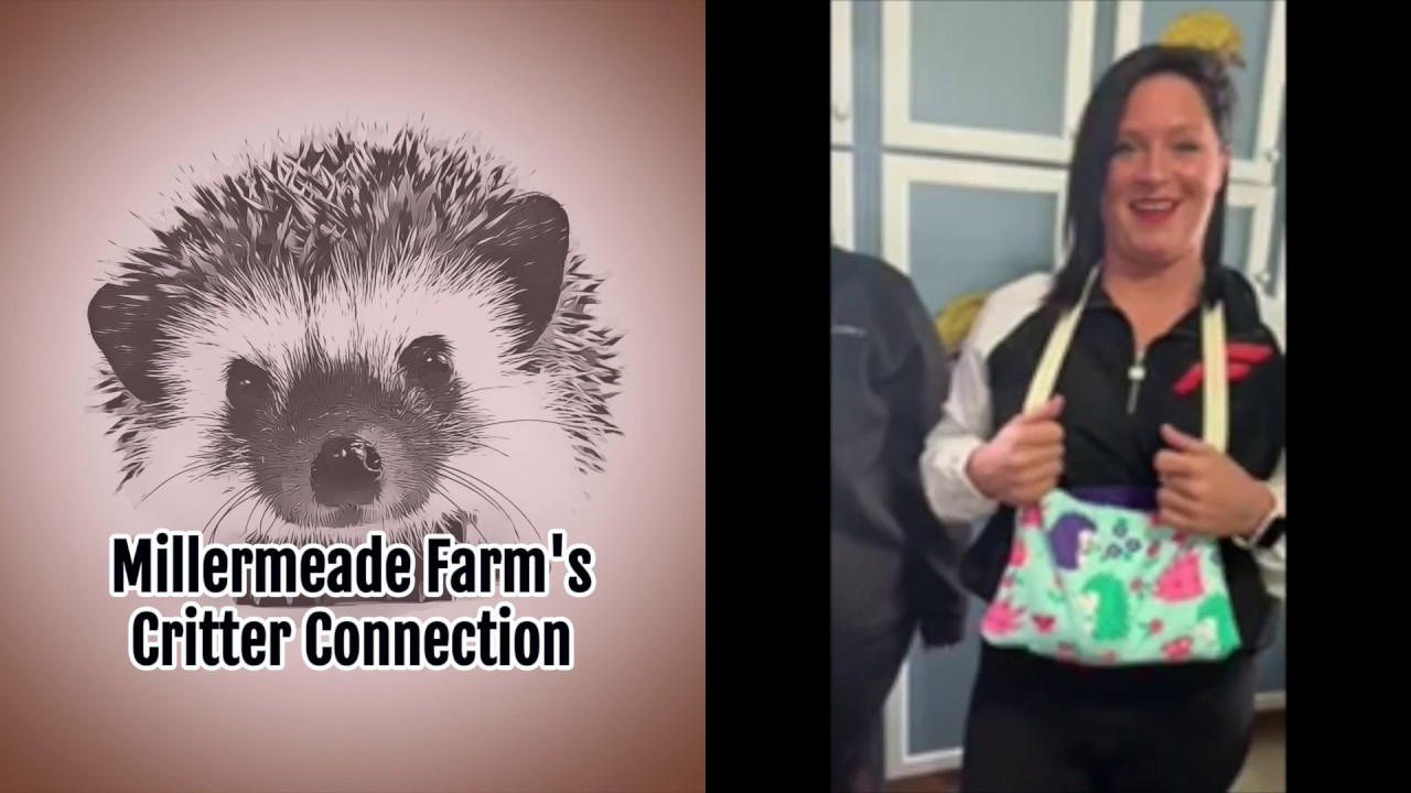 First Time Hedgehog Owners | Educated and Ready