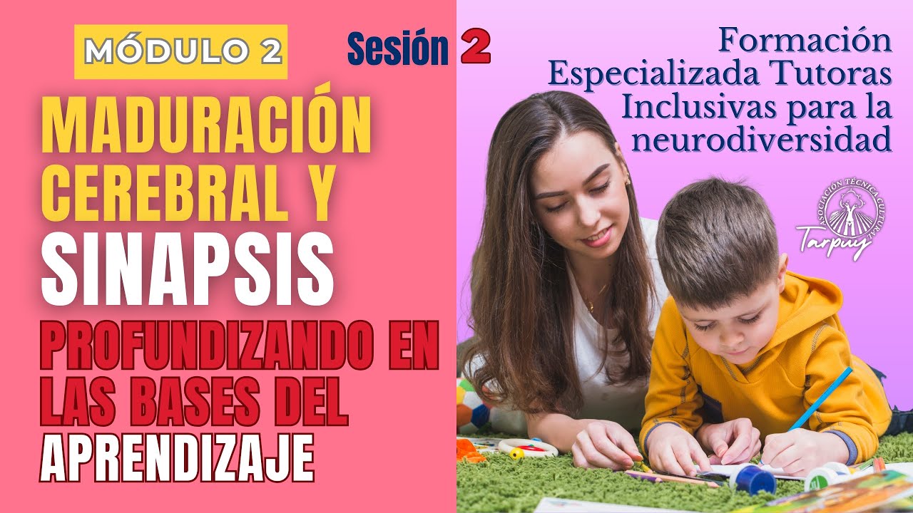 MÓDULO 2 - SESIÓN 2: MADURACIÓN Y PLASTICIDAD CEREBRAL