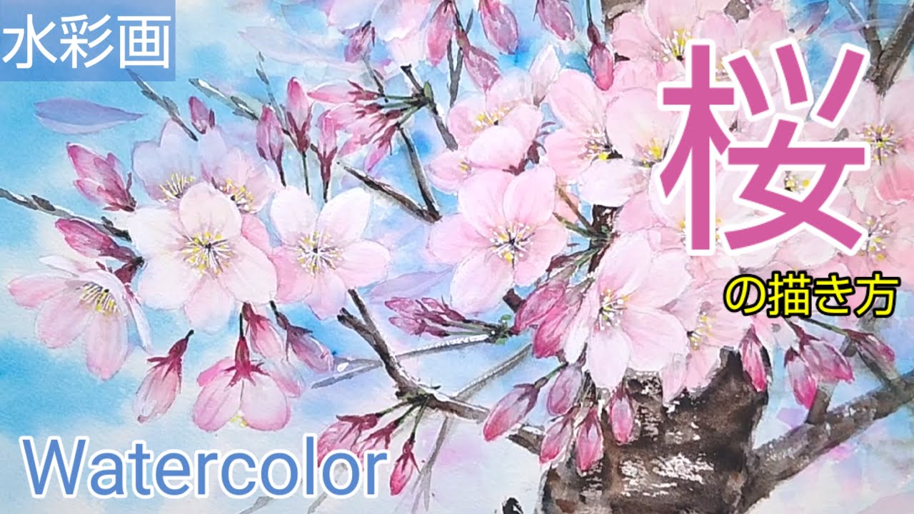 【水彩画】/透明水彩で【桜】の描き方🌸 /青空と桜/初心者のための水彩画