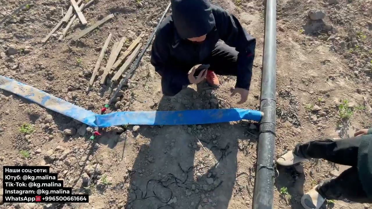 Тамчылатып сугаруу Капельный полив Бассейн для полива Как установить капельную систему своими руками