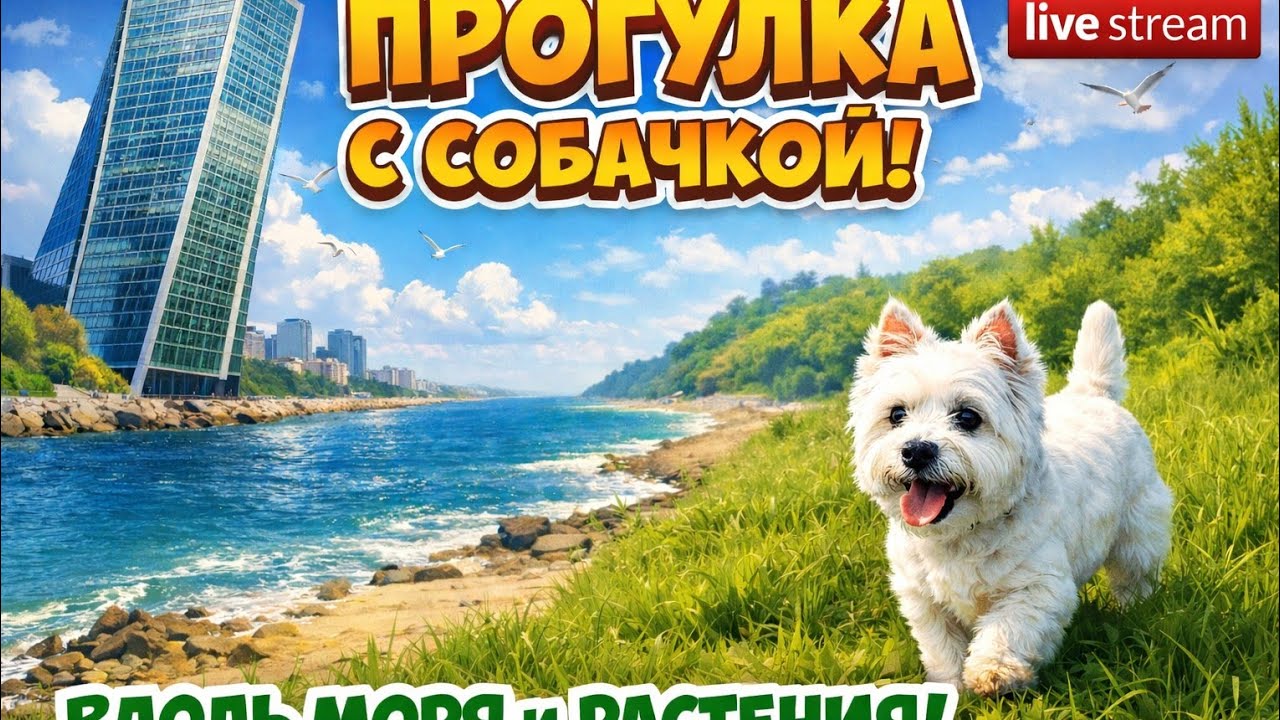 Вдоль берега идём, смотрим на #море ждём весну! Общаемся!