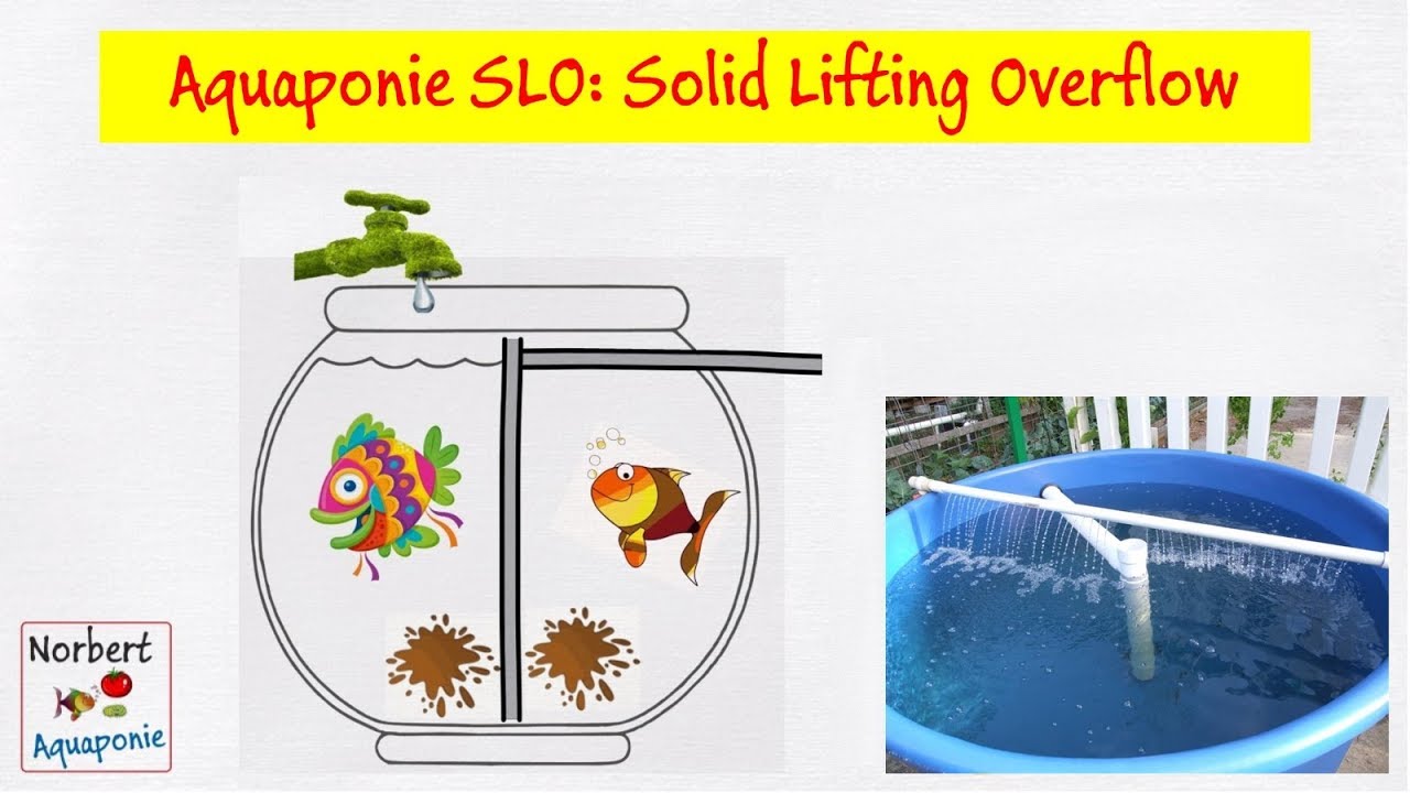 🌪️ Aquaponie: Solid Lifting Overflow