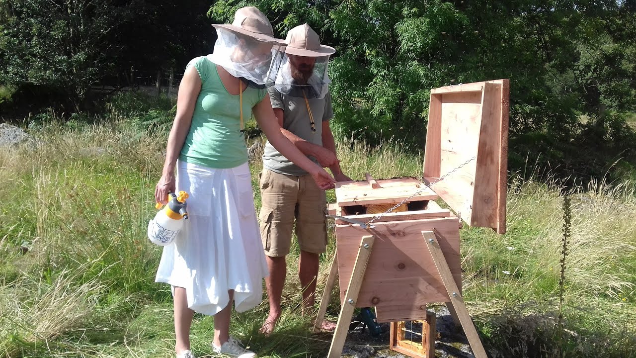 Top Bar Hive Beekeeping With Phil Chandler