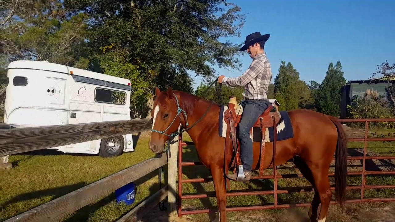 How To Open A Gate While Horseback