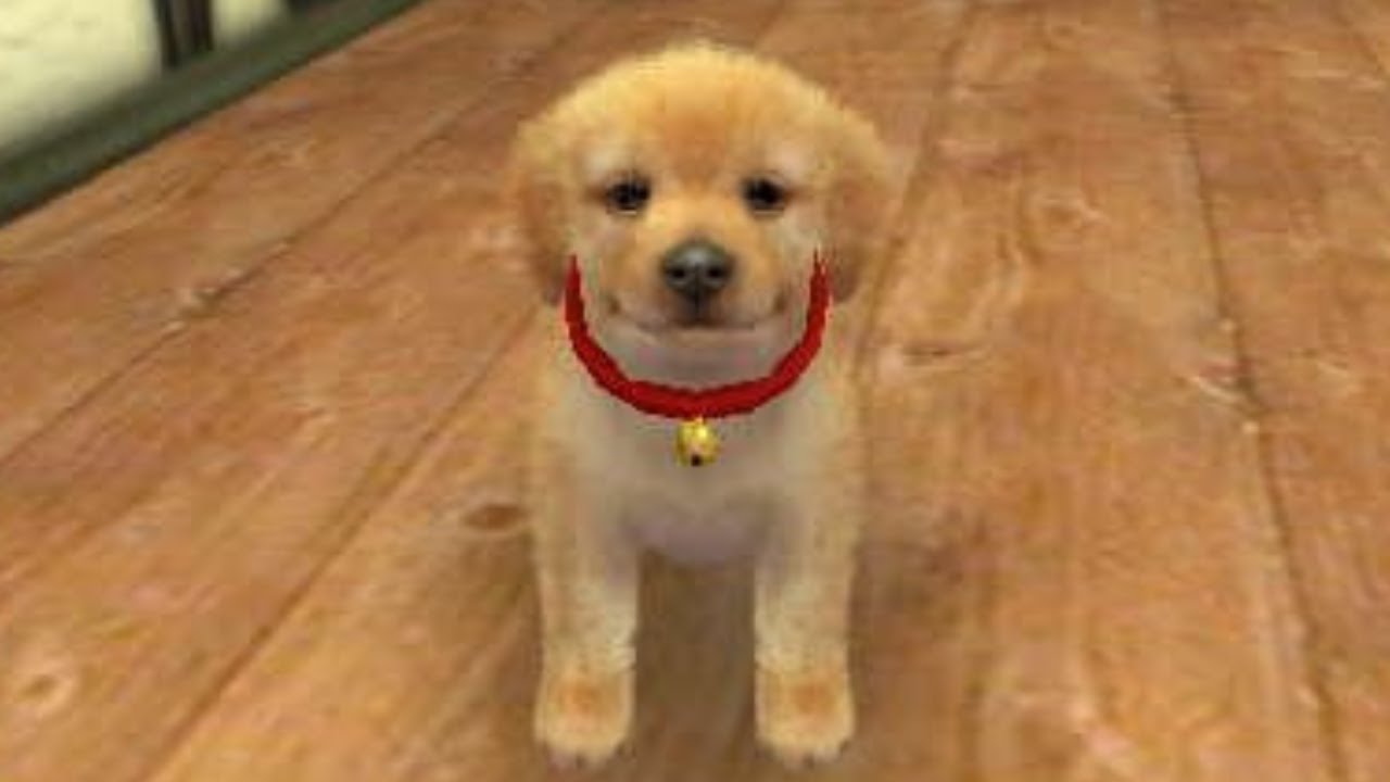 NINTENDOGS: The game that DEFINED 2000s CHILDHOODS 😭