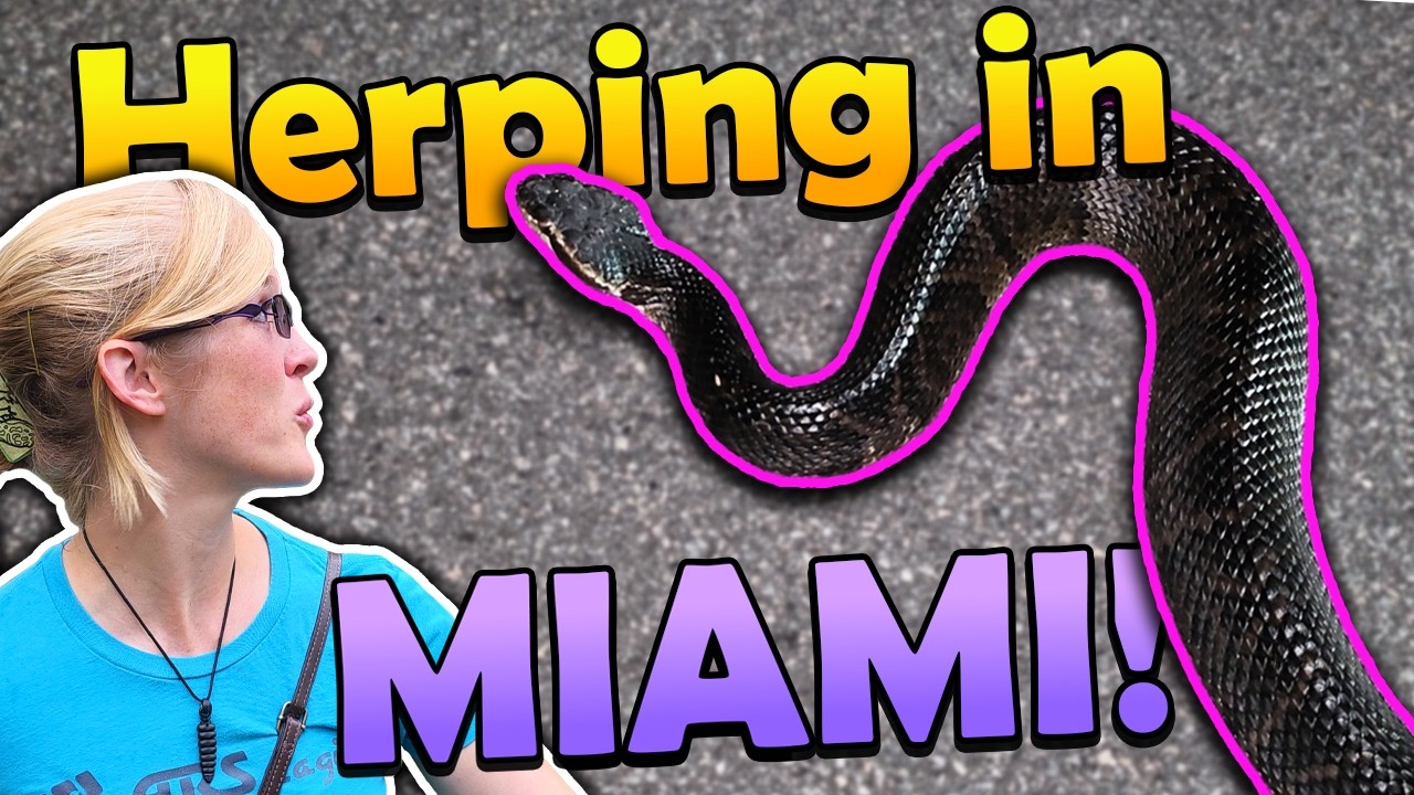 Unexpected Reptiles while Herping in Florida!