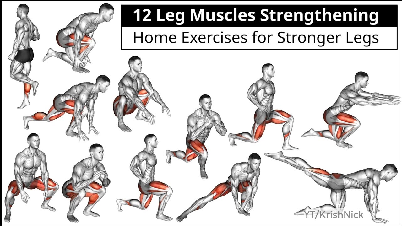 12 Leg Muscles Strengthening Home Exercises for Stronger Legs