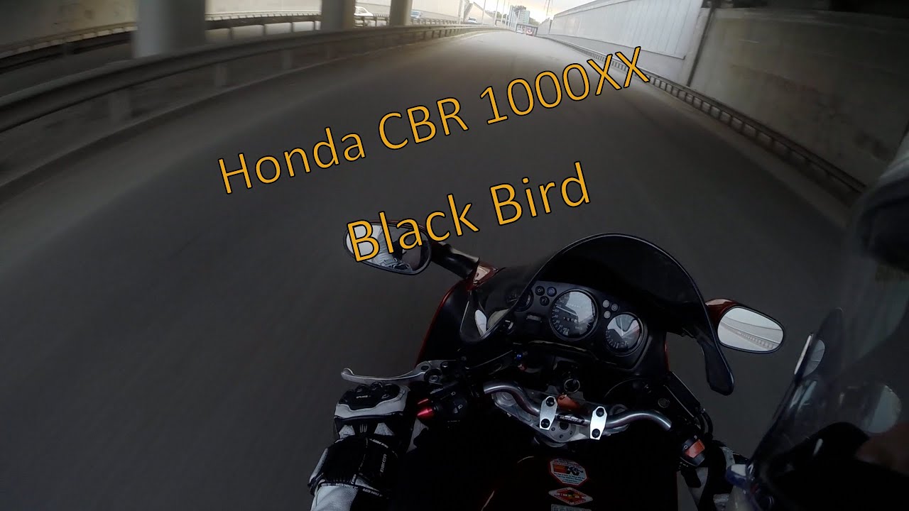 [До отсечки] Обзор Honda CBR 1100XX