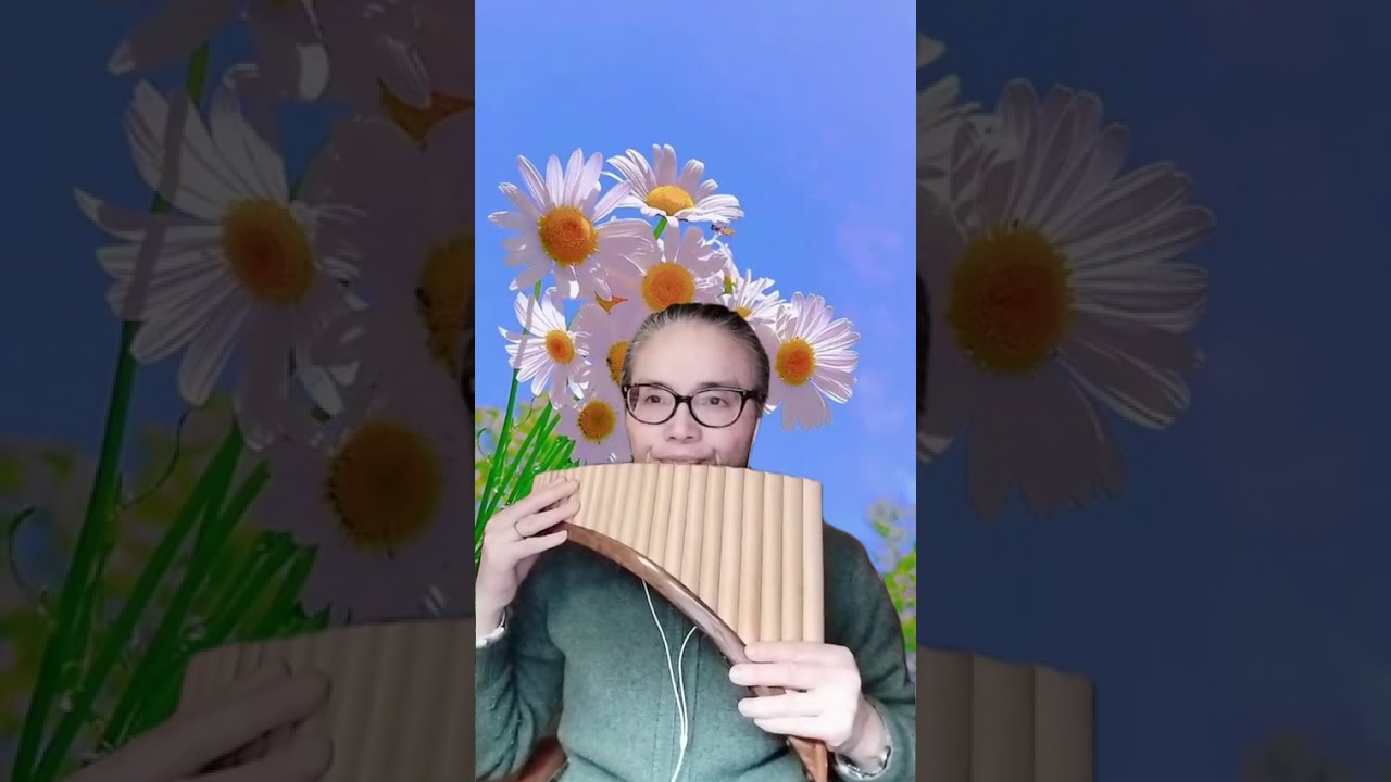 虫儿飞 Little Bugs Fly