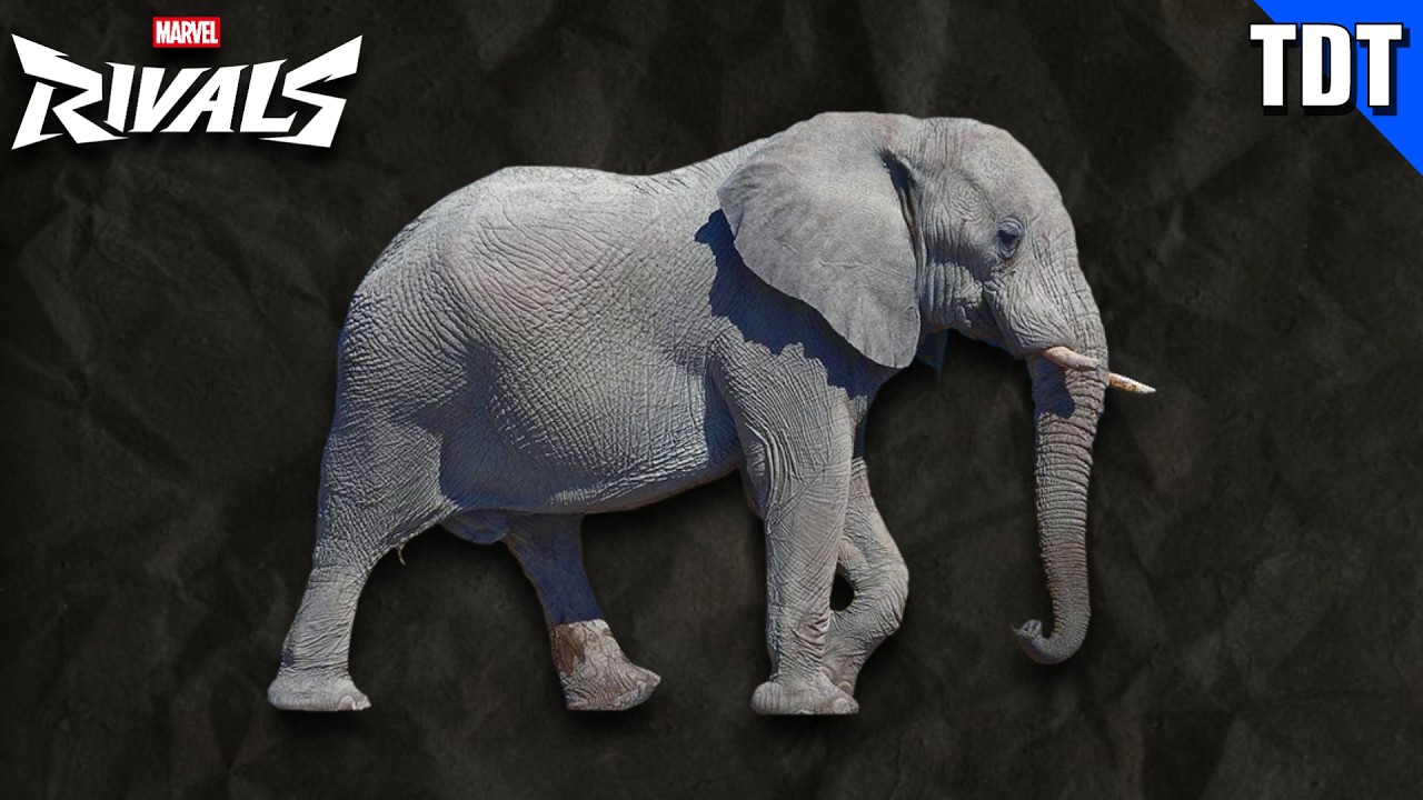 Addressing the Elephant in the Room (Marvel Rivals Rant)