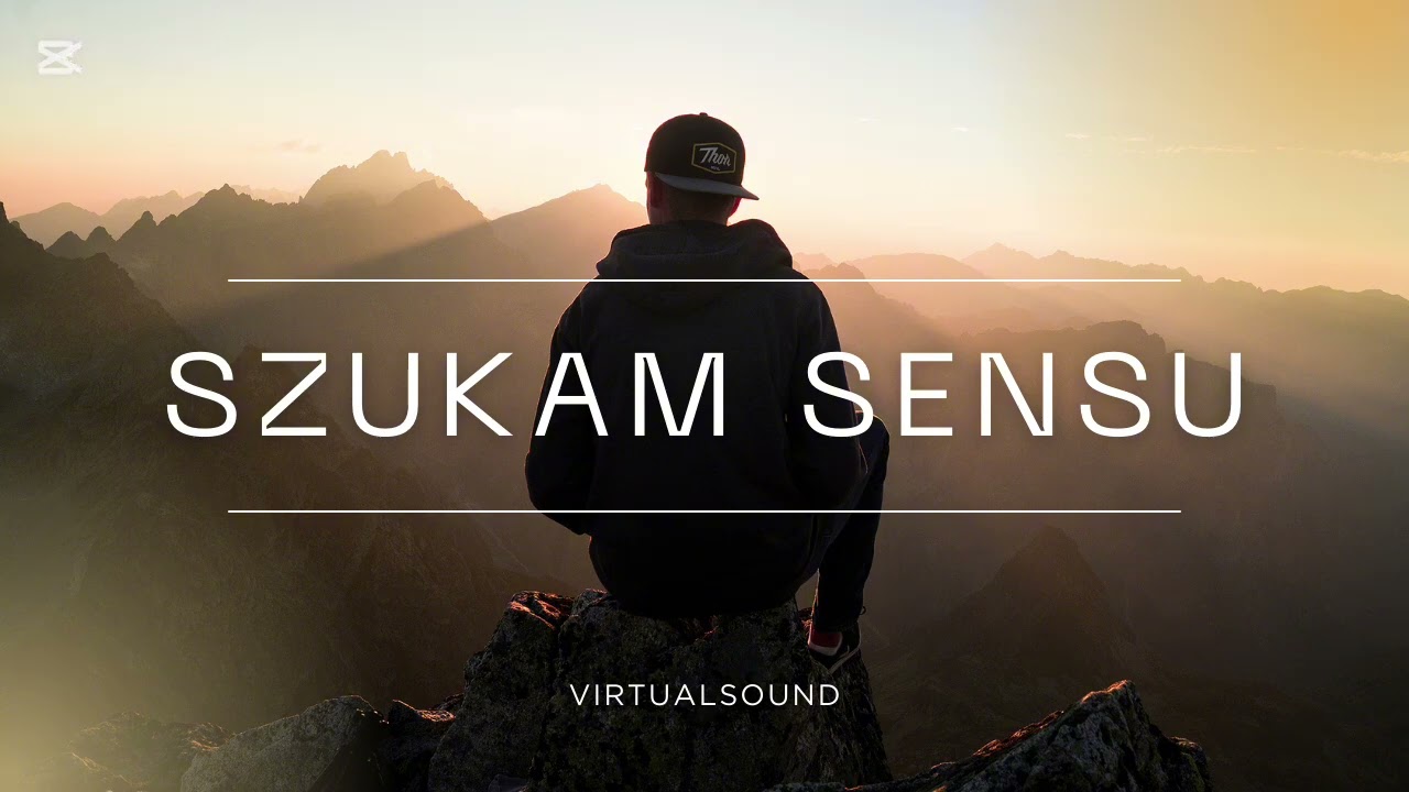 SZUKAM SENSU - VIRTUALSOUND
