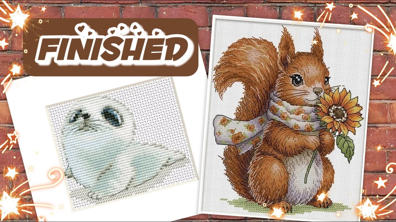Kreuzstich Finish mal 2 #paintingfairycrossstitch #vipcrossstitch