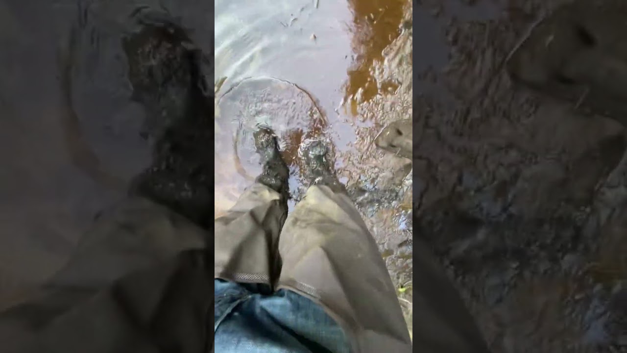 Waders in swamp mud 1