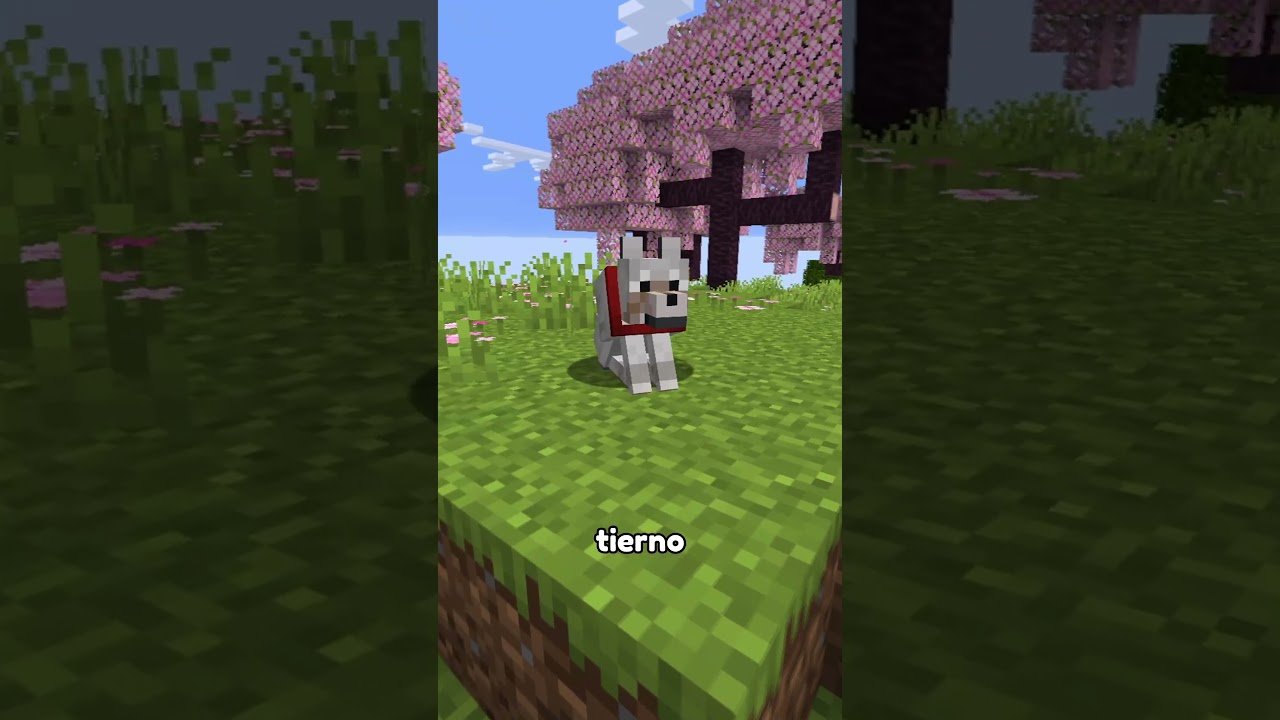 El secreto de los nuevos lobos de Minecraft! 😲