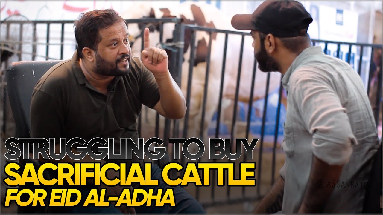 Pakistanis struggling to buy sacrificial cattle due to inflation | Zafar Abbas | JDC Qurbani |  2022