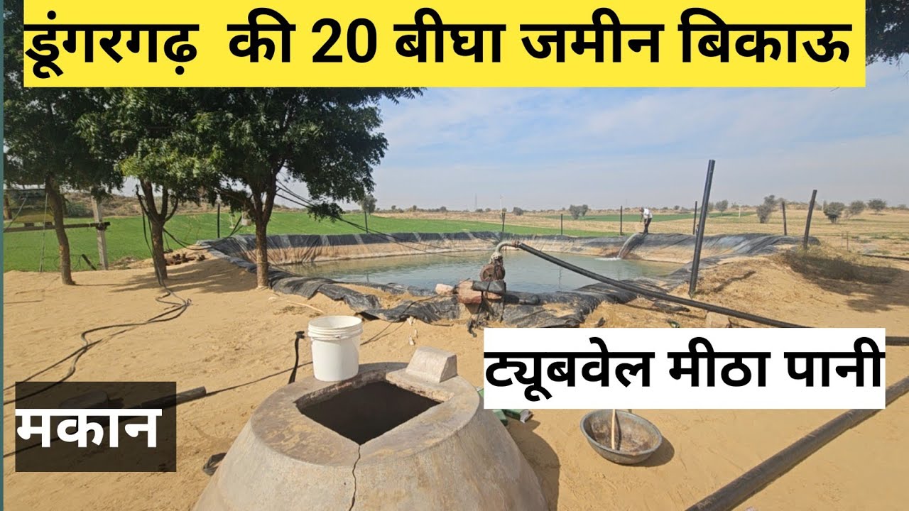 डूंगरगढ़ बीकानेर की 20 बीघा जमीन बिकाऊ मकान ट्यूबवेल मीठा पानी कटान का रास्ता हाईवे से 4 KM