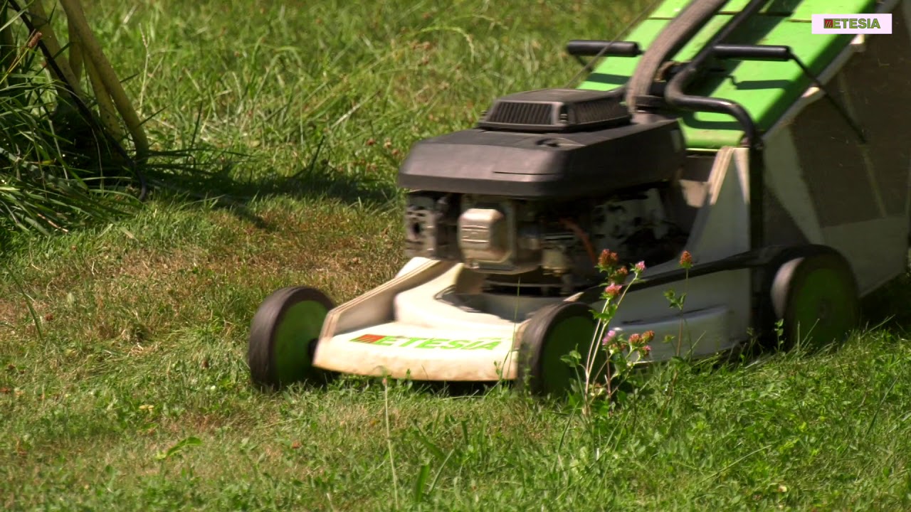 Portrait - Martin B. et ses tondeuses ETESIA