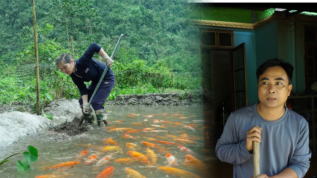 Today, Thuy personally repaired a fish pond and replanted the corn stalks she had grown.