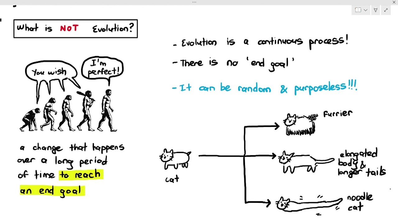 17-5 Introduction to Evolution (Cambridge AS A Level Biology, 9700)
