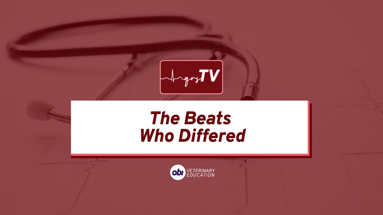 The beats who differed - qrsTV - Veterinary ECG Explained