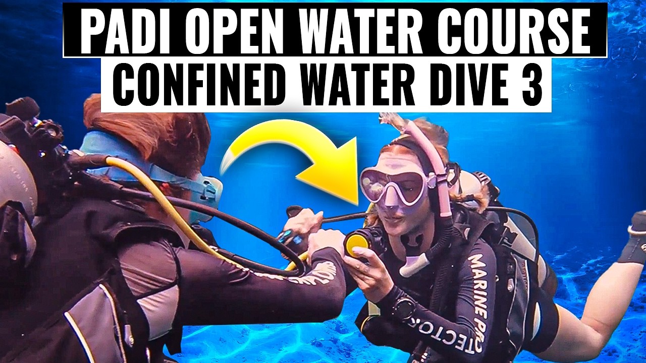 PADI Open Water Course: Dive 3 Confined Water Skills to Help You Become a Better Scuba Diver 🤿