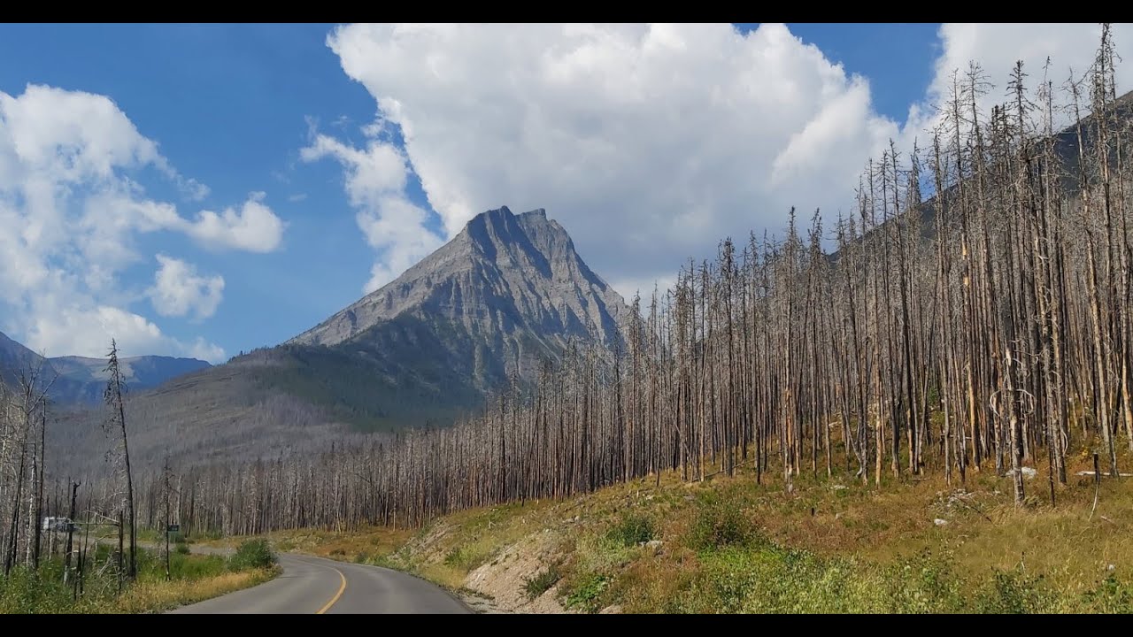 Mt. Lineham - Waterton Lakes National Park - Alberta, Canada