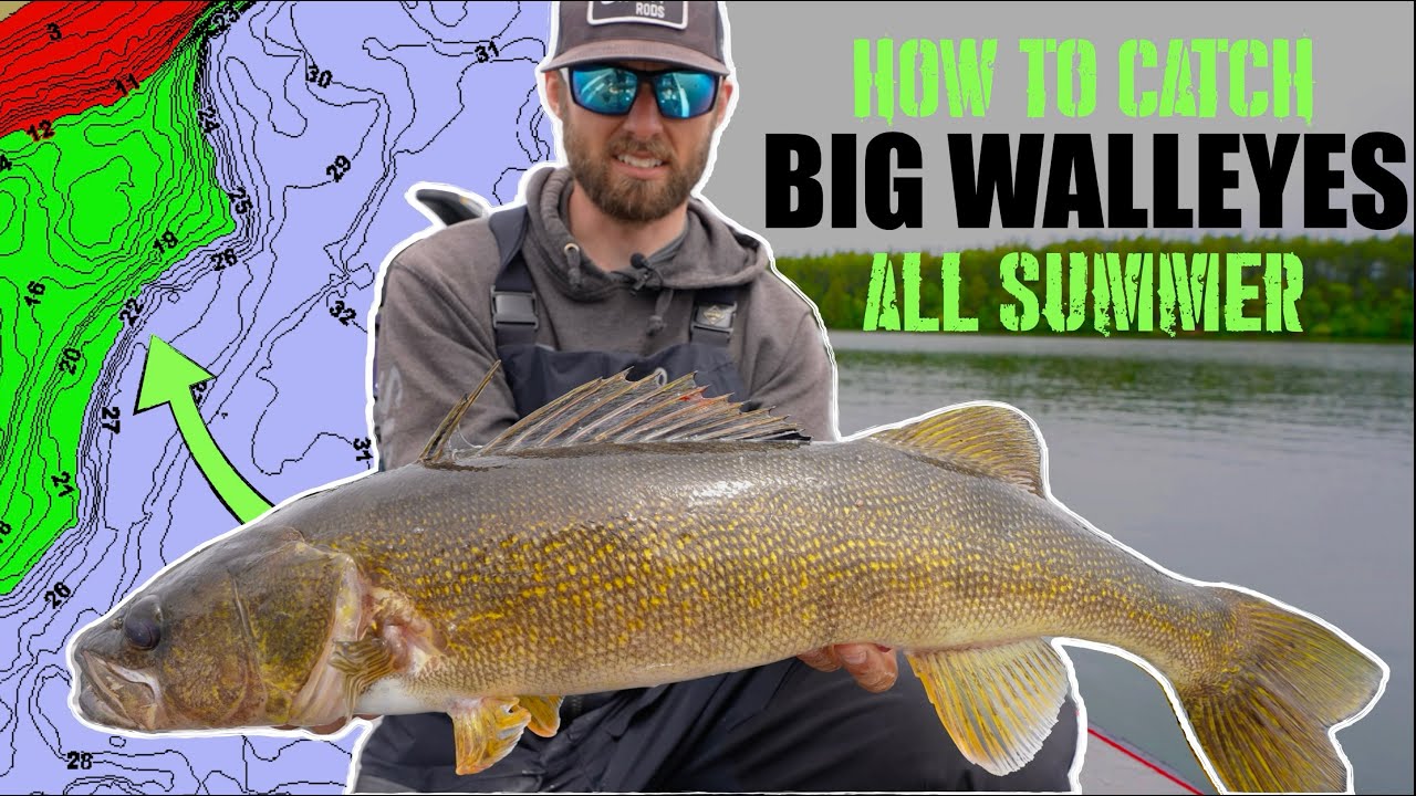 How to Catch BIG Summer Walleyes on Your FAVORITE Lake!