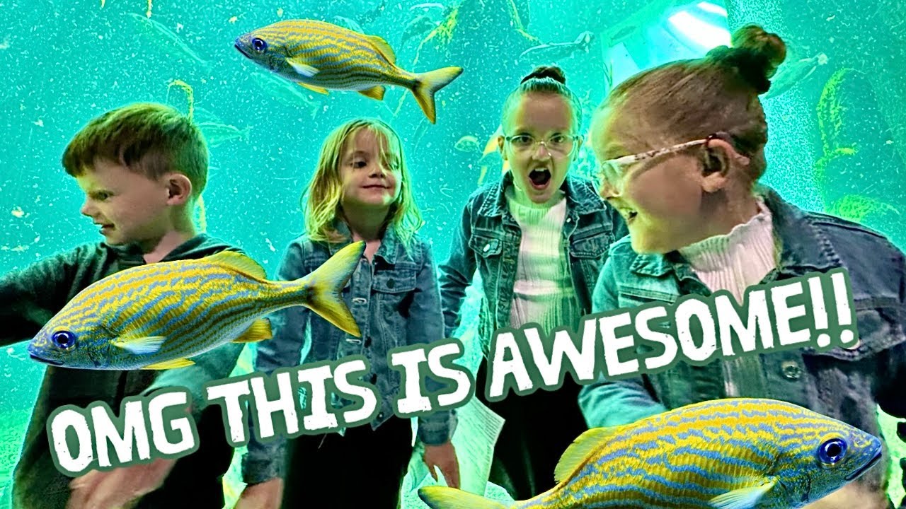THINGS TO DO IN SCOTLAND | Macduff Marine Aquarium