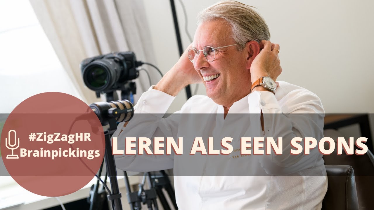 Leren als een spons: 5 sleutels voor succes in leren & ontwikkelen van Peter Goossens #95
