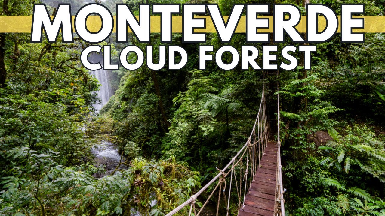 Monteverde Cloud Forest Biological Reserve, Costa Rica | Travel Guide