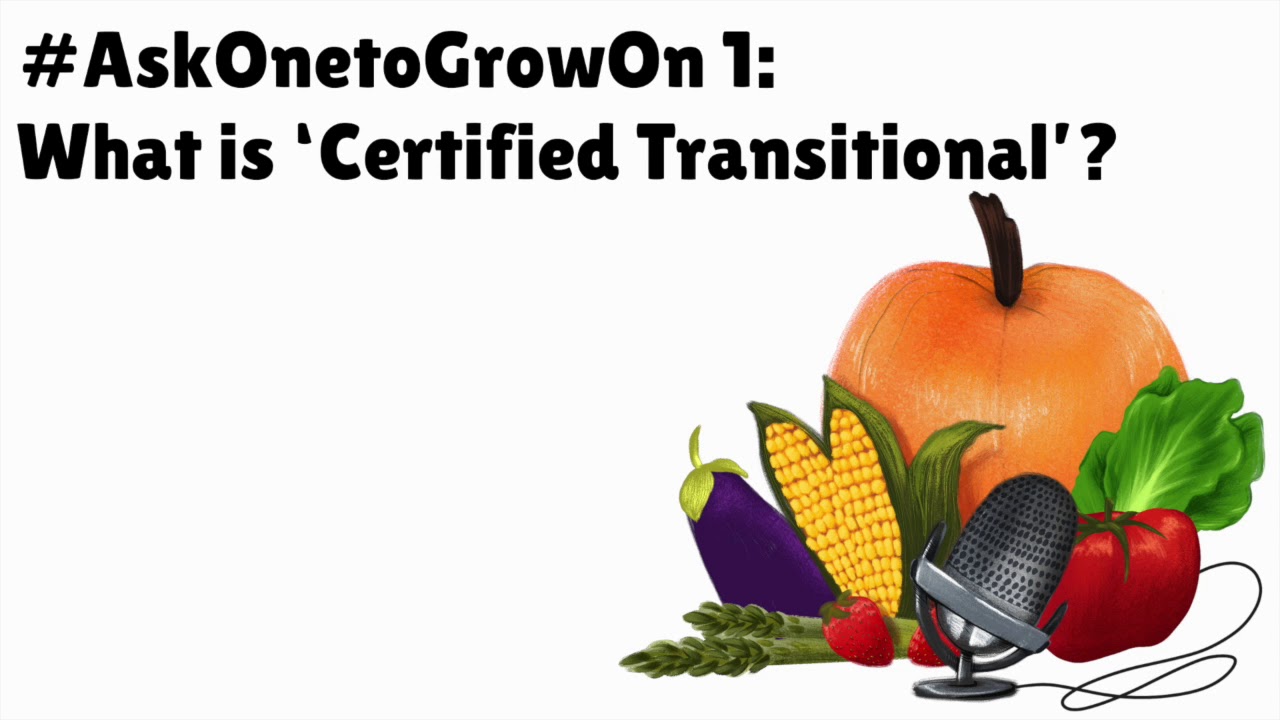 #AskOnetoGrowOn 1: What is 'Certified Transitional'?