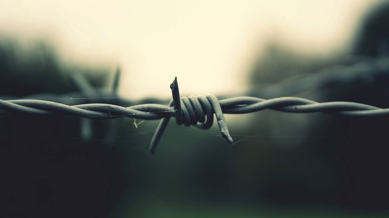 Solar Fields - Monogram