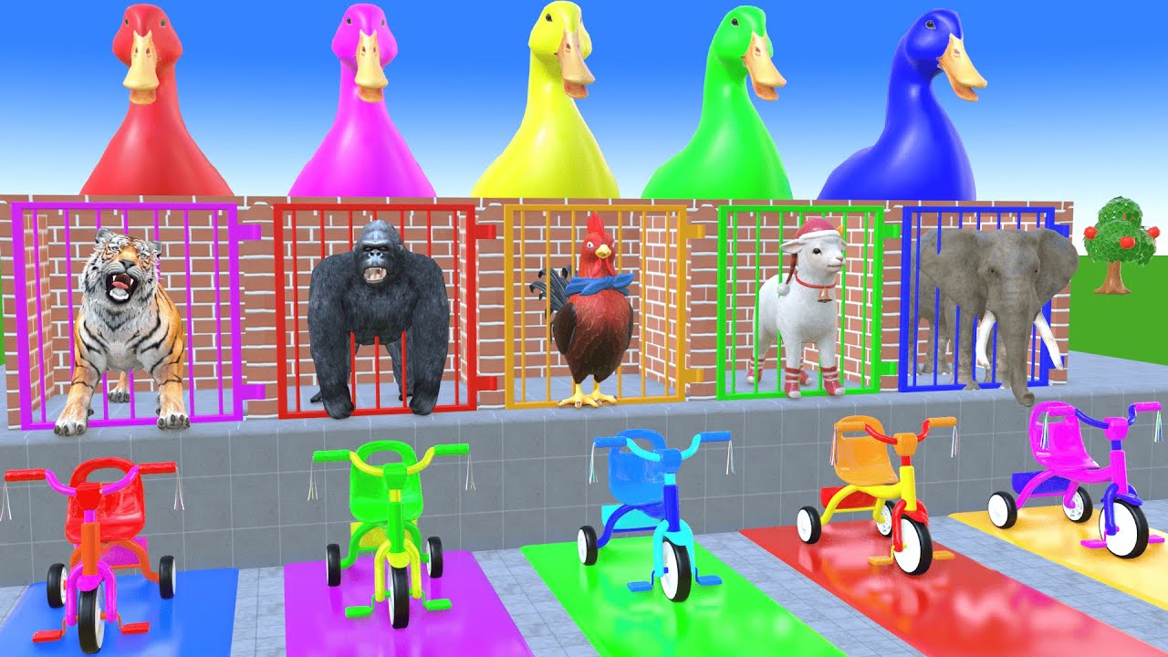 Long Slide Game With Cow Elephant Gorilla Hippopotamus Tiger 3d Animal Game Funny 3d Animals