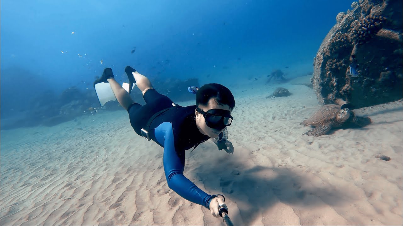Hawaii Freedive [夏威夷电厂自由潜水] ANIMALS ALERT Electric Beach Fun Dive | 超多海洋生物