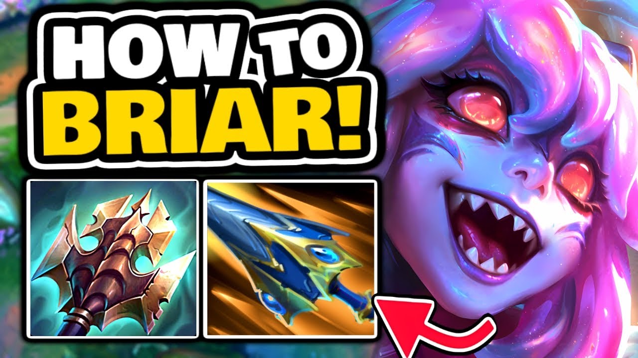 The BEST way to play BRIAR JUNGLE!!
