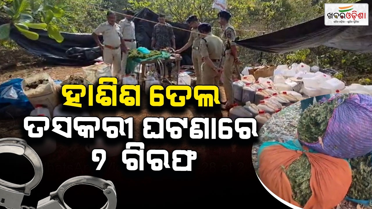 ହାଶିଶ ତେଲ ତସକରୀ ଘଟଣାରେ ୭ ଗିରଫ | Khabar Odisha