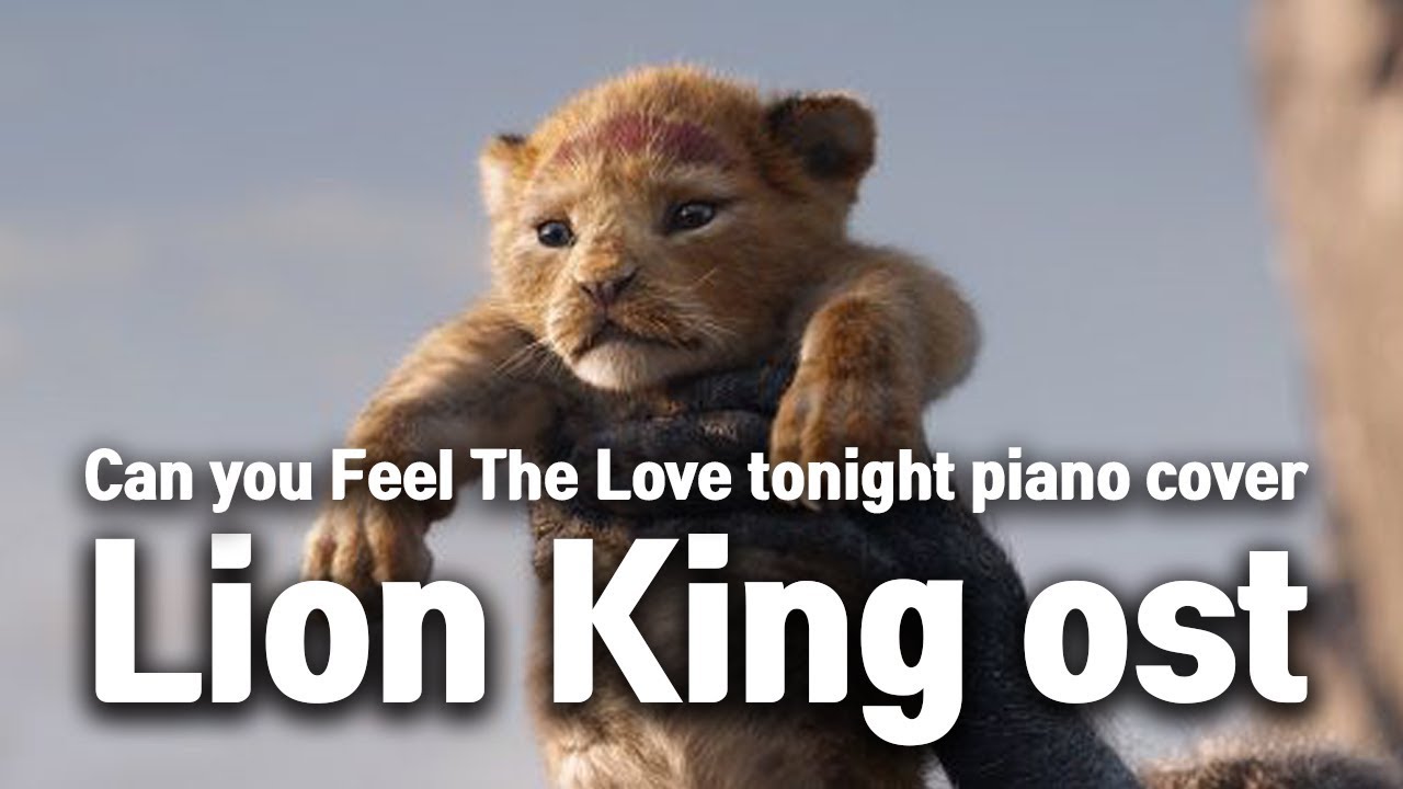 [pop 피아노 / ambient music / Cover] Can you Feel The Love tonight piano cover/라이온킹 ost. Lion King OST